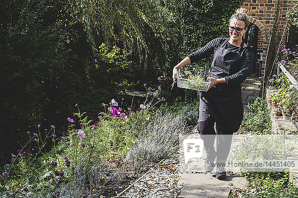 Smiling blond woman wearing glasses and apron walking along garden path  carrying tray with fresh herbs.