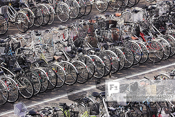Reihen geparkter Fahrräder