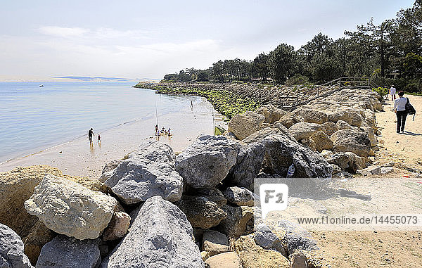France  South-Western France  Arcachon Bay  protection dike against sea erosion