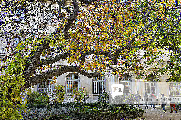 'France. Paris 5th district. Rue d'Ulm.Ecole Normale superieure (Superior teachers' training college). The courtyard of the school said '' The Ernest's courtyard '''