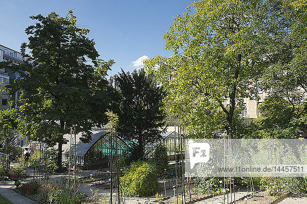 France. Paris 6th district. Avenue de l'Observatoire. Faculty of pharmacy. The botanical garden of the faculty
