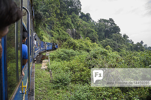 Nilgiri Mountain Railway  zwischen Ooty und Mettupalayam  Tamil Nadu  Indien  Südasien