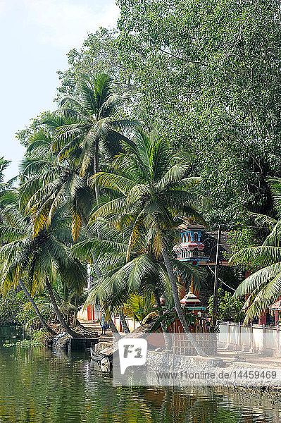 Hindu-Tempel fast versteckt hinter Palmen am Rande der Backwaters  Kumarakom  Kerala  Indien