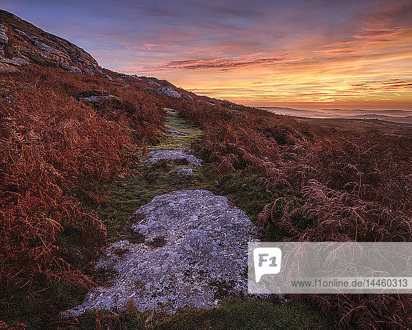 Twilight on the slopes below Saddle Tor with mist in the Teign Valley Dartmoor National Park Bovey Tracey Devon England United Kingdom