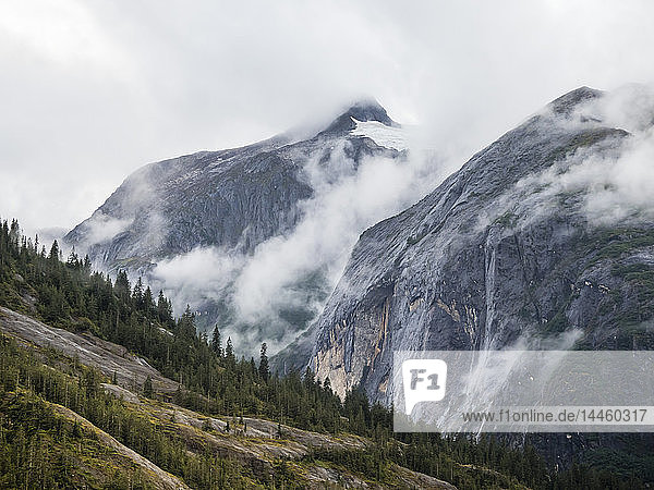 Klassischer  von Gletschern ausgehöhlter Fjord in der Tracy Arm-Fords Terror Wilderness Area  Südost-Alaska  USA