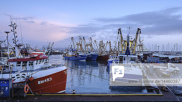 Im Fischereihafen von Brixham  Devon  England  Vereinigtes Königreich  längsseits vertäute Trawler