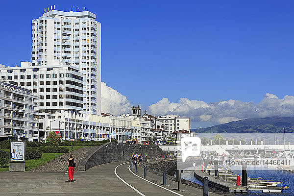 Yachthafen  Ponta Delgada Stadt  Insel Sao Miguel  Azoren  Portugal  Atlantik