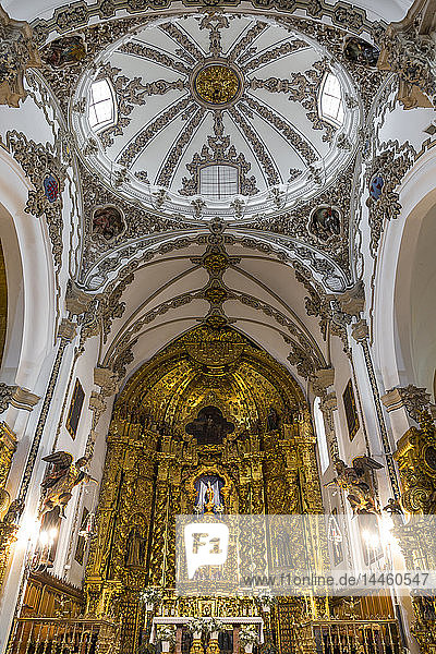 Interior of the San Francisco Church  Cordoba  Andalusia  Spain