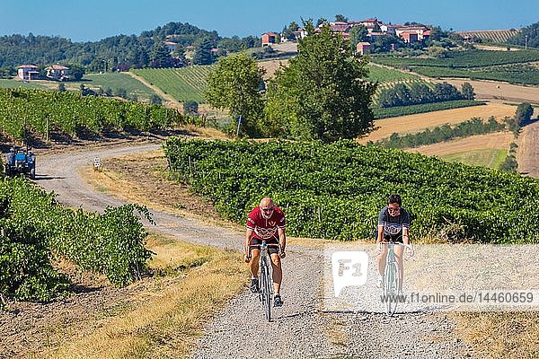 Die Rampina  weiße Straße des Radrennens La Mitica  von Villaromagnano nach Costa Vescovado  auf den Straßen von Fausto Coppi  Gebiet Tortona  Piemont  Italien