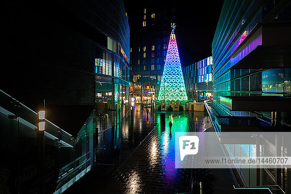 Liverpooler Weihnachtsbeleuchtung in der Stadt bei Nacht  England  UK