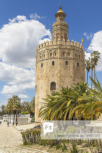 Goldener Turm (Torre del Oro)  Sevilla  Andalusien  Spanien