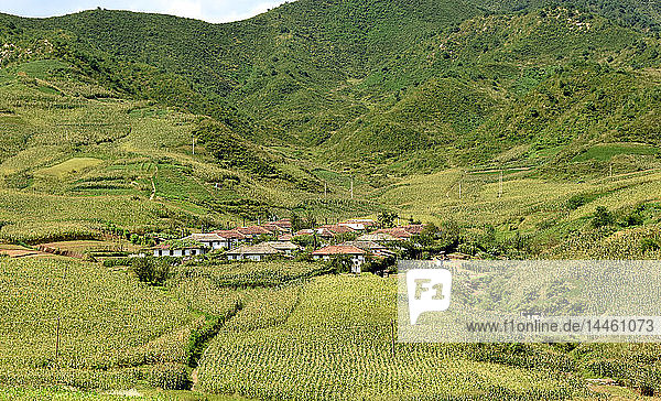 Village amid corn fields near Chongjin Hamgyong Province North Korea