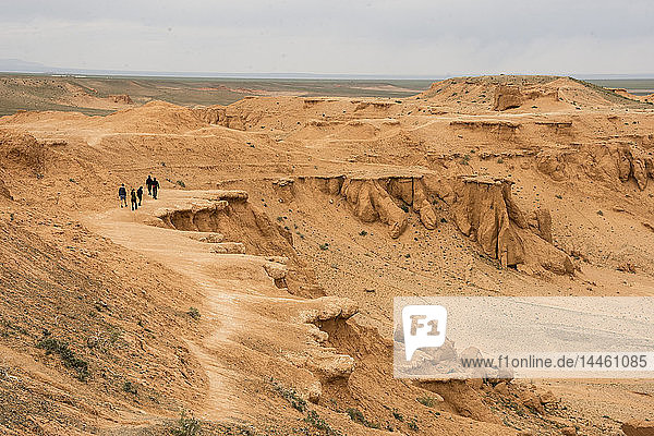Bayanzag Cliffs  Fundort von Dinosaurierfossilien  Dalanzadgad  Wüste Gobi  südliche Mongolei