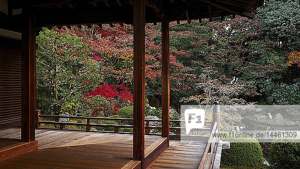 Zuishin-in-Tempel im Herbst  Kyoto  Japan