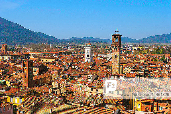 View from Palazzo Guinigi to the Torre delle Ore  Lucca  Tuscany  Italy