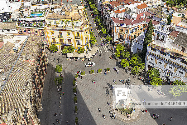 Blick vom Glockenturm Giralda auf den Platz Virgen de los Reyes  Sevilla  Andalusien  Spanien
