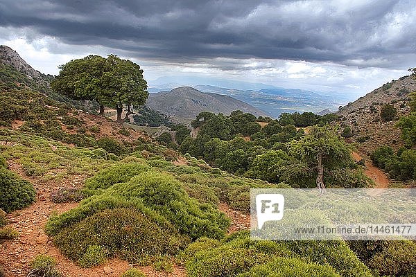 Lassithi plateau Crete Island Greek Islands Greece