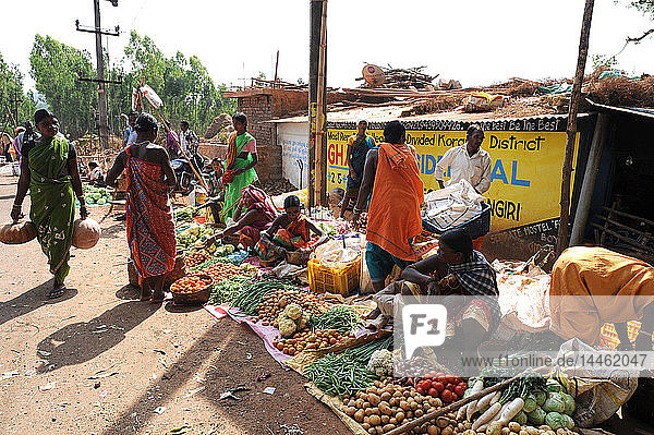 Mali-Stammesangehörige beim Einkaufen am frühen Morgen auf dem wöchentlichen Stammesmarkt  Koraput  Odisha  Indien
