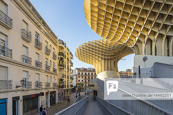 Gebäude Metropol Parasol  Sevilla  Andalusien  Spanien