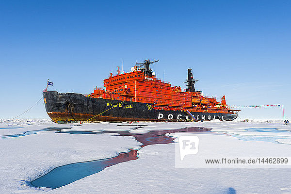 Icebreaker '50 years of victory' on the North Pole Arctic