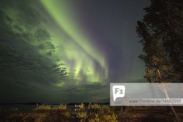 The Northern Lights (aurora borealis) in the night sky above Lake Egenolf in northern Manitoba Canada North America