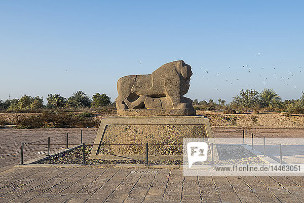 The lion of Babylon  Babylon  Iraq  Middle East