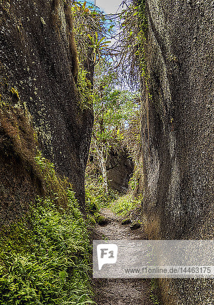 Rock Labyrinth Asilo de la Paz Highlands of Floreana (Charles) Island Galapagos UNESCO World Heritage Site Ecuador