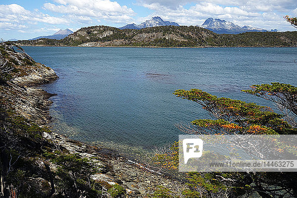 Seascape near Ushuaia  Tierra del Fuego  Patagonia  Argentina  South America