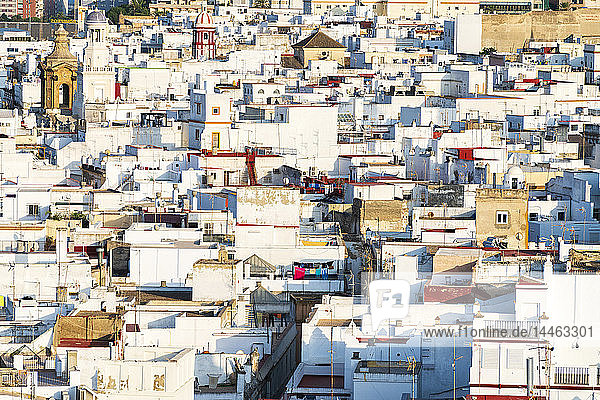 Blick vom Torre Tavira auf weiße Häuser in Cádiz  Spanien