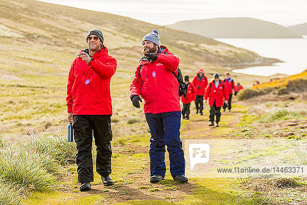 Erkundung von New Island auf den Falklandinseln  Südamerika