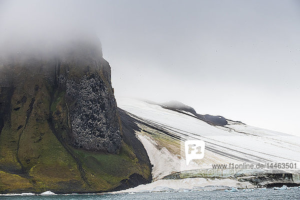 Massiver Vogelfelsen  Insel Champ  Archipel Franz Josef Land  Gebiet Archangelsk  Arktis  Russland