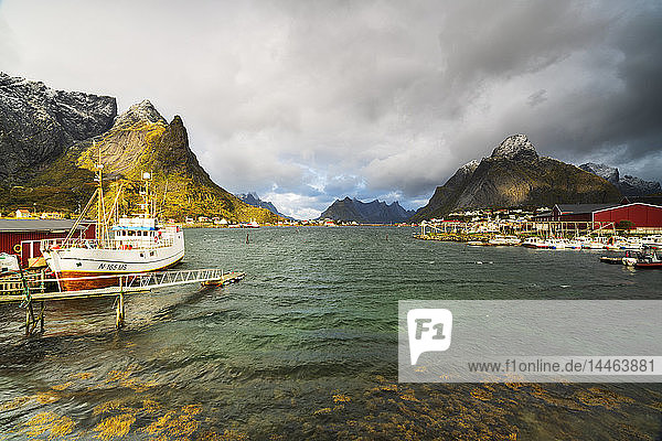 Fischerboote im Hafen  Reine  Nordland  Lofoten Inseln  Norwegen  Europa