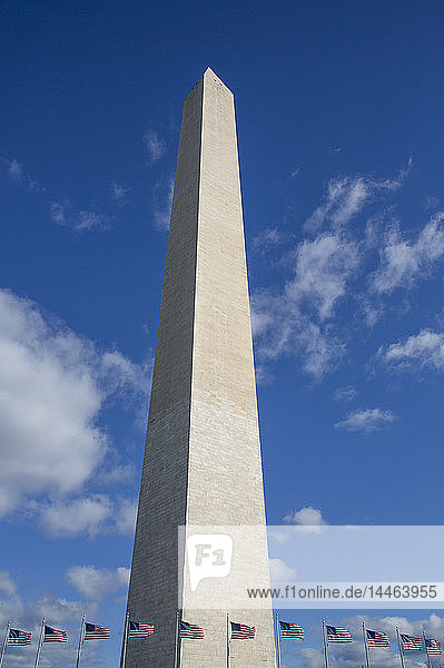 Washington Monument mit amerikanischen Flaggen darunter  Washington D.C.  Vereinigte Staaten von Amerika