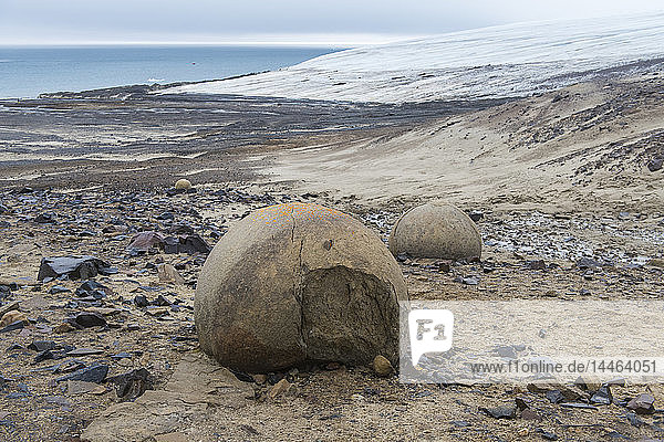 Giant stone sphere  Champ Island  Franz Josef Land archipelago  Arkhangelsk Oblast  Arctic  Russia