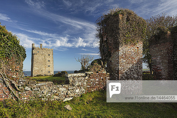Carrigaholt Castle  Grafschaft Clare  Munster  Republik Irland  Europa