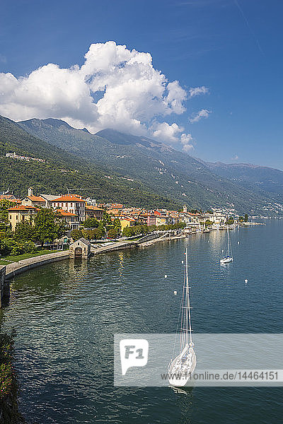 Erhöhte Ansicht von Cannobio und dem Lago Maggiore  Lago Maggiore  Piemont  Italienische Seen  Italien
