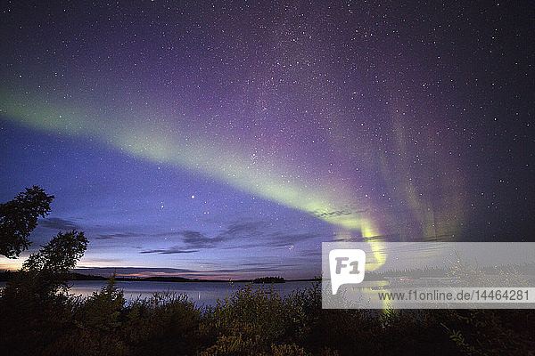 The Northern Lights (aurora borealis) in the night sky above Lake Egenolf in northern Manitoba Canada North America
