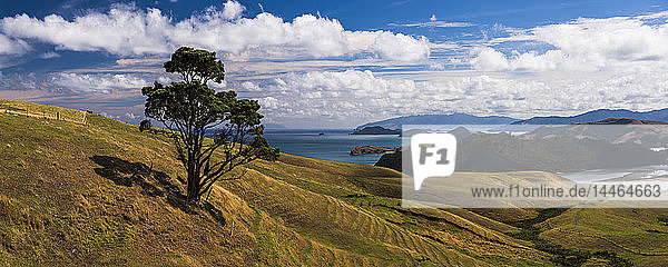 Westküste der Coromandel-Halbinsel  Nordinsel  Neuseeland  Pazifik