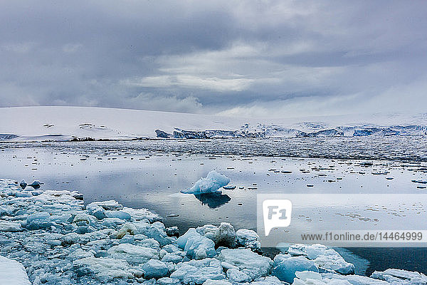 Blick auf die Gletscher in Granite Bay  auf dem antarktischen Festland  Polargebiete