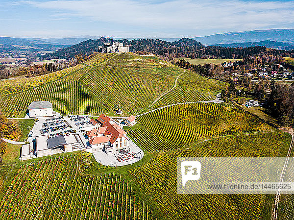 Austria  Carinthia  Sankt Veit an der Glan  drone view of Taggenbrunn Castle