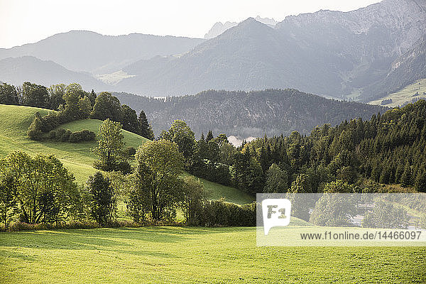 Österreich  Tirol  Kaisergebirge  Blick auf Karspitze und Rettenschoess