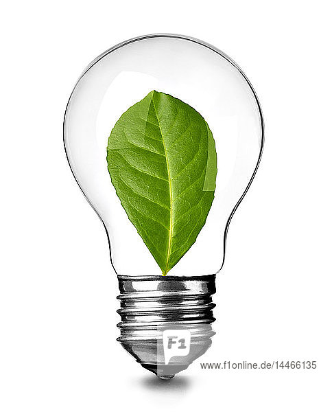 Nahaufnahme einer Glühbirne mit grünem Blatt auf weißem Hintergrund  Nachhaltigkeitskonzept