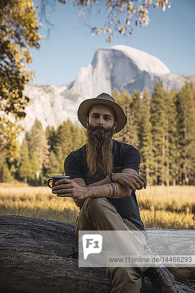 USA  California  portrait of bearded man sitting on a log in Yosemite National Park
