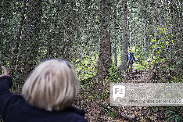 Österreich  Tirol  Kaisergebirge  Mutter und erwachsener Sohn mit Hund beim Wandern im Wald