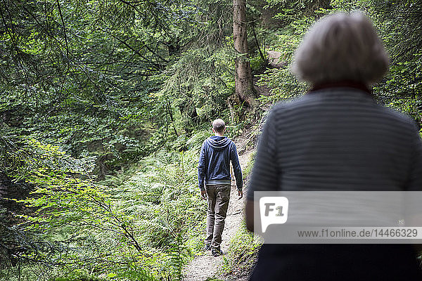 Österreich  Tirol  Kaisergebirge  Mutter und erwachsener Sohn wandern im Wald