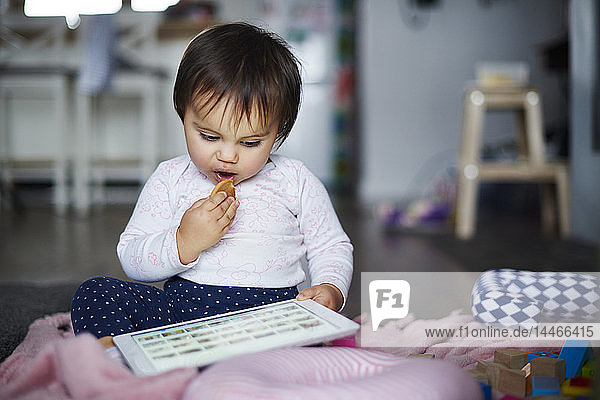 Kleines Mädchen  das zu Hause auf dem Boden sitzt  einen Keks isst und eine Tablette benutzt