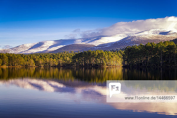United Kingdom Scotland Highlands Cairngorms National Park Loch an Eilean winter