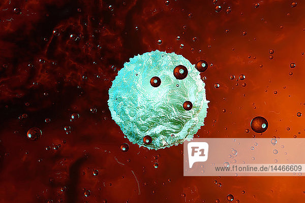 3D-gerenderte Illustration  eine deformierte Zelle  die in einem lebenden Organismus schwebt