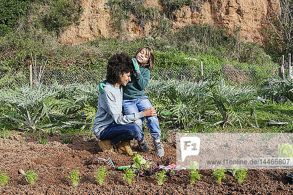Mutter und Sohn pflanzen Salatsetzlinge im Gemüsegarten