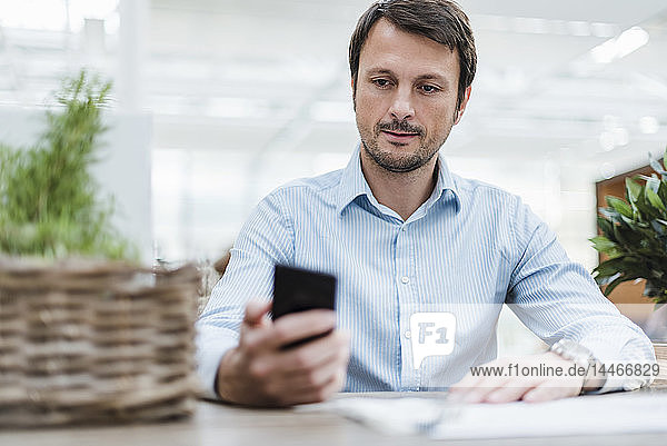 Businessman working in office  using smartphone